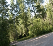 Montana2008 618